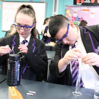 tsa_Year8Science (17)
